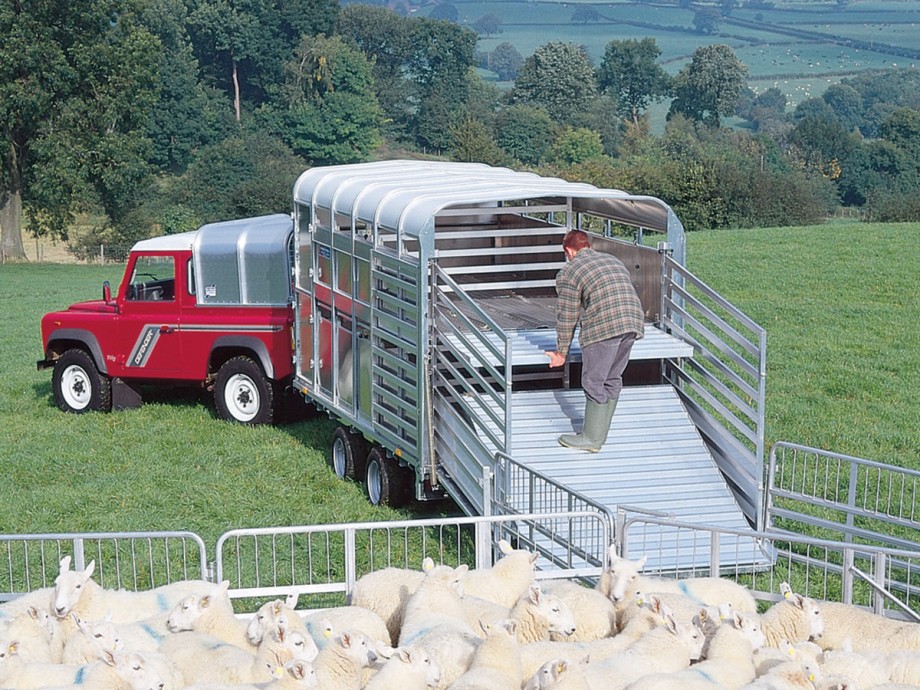 Upper Cross Division KX4750 TA5