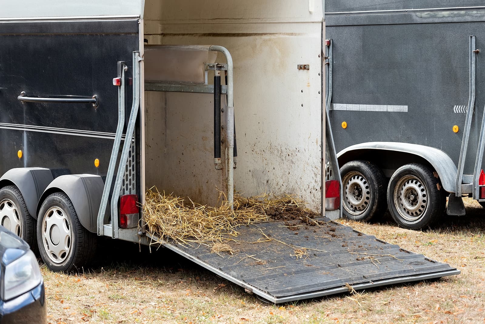 Is Your Livestock Trailer Ready For Transporting Stock?