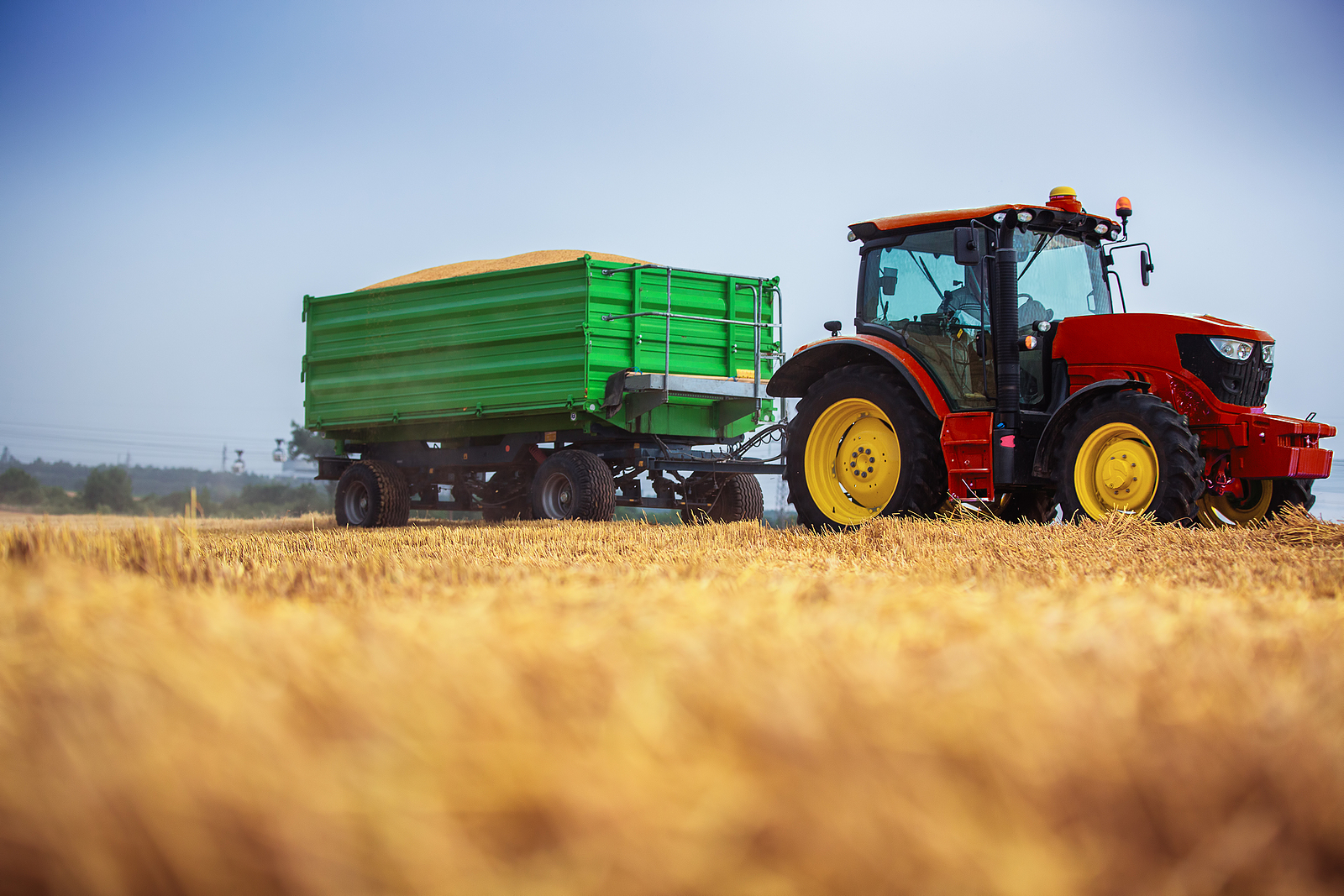 ifor williams trailers - Farmer-Driving-Agricultural-Tractor-And-Trailer-Full-Of-Grain